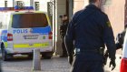 Застрявший на дереве швед арестован по подозрению в грабеже