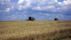 В Пензенской области намолочено около 1 млн 260 тыс. тонн зерна