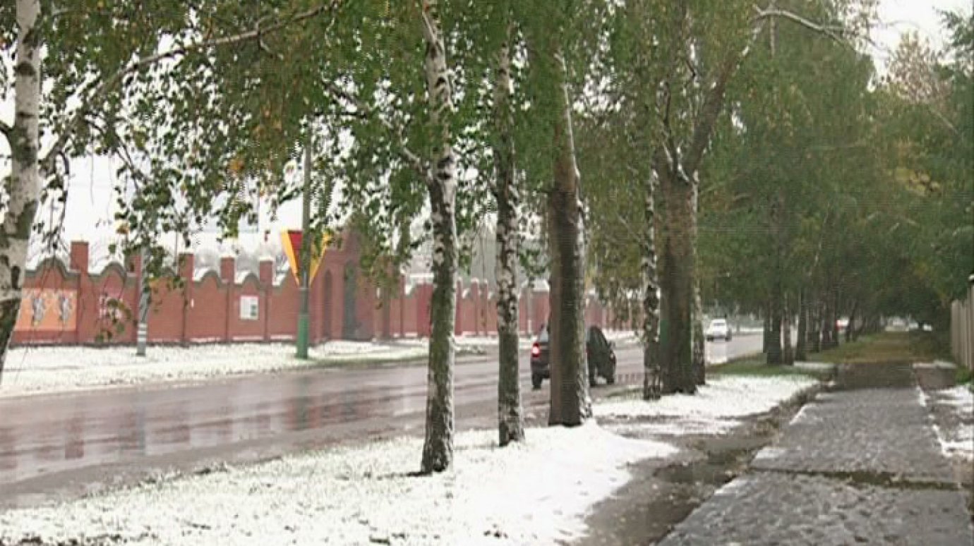 В ночь на 28 сентября в Пензе выпал первый снег