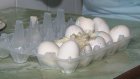 В пензенском магазине горожанке продали протухшие яйца