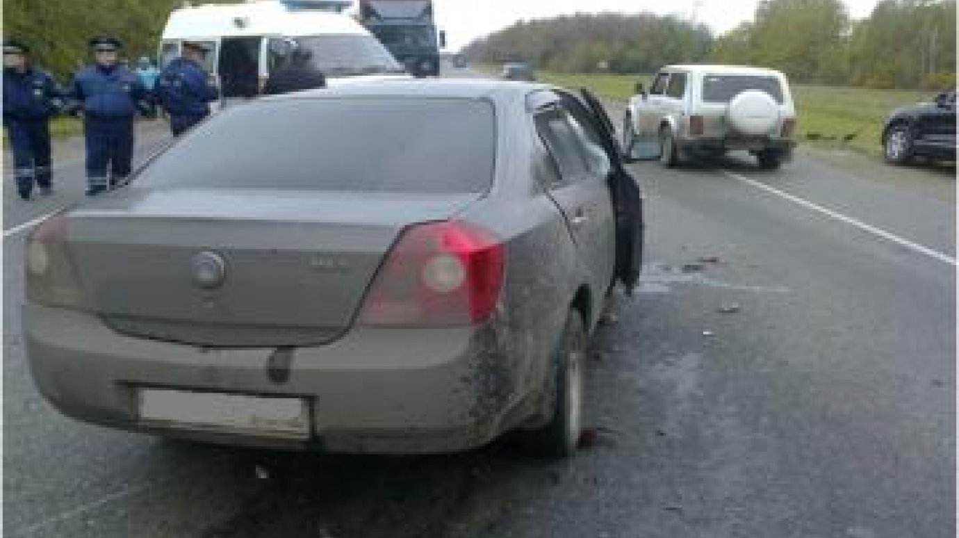 В Нижнеломовском районе погибли водители двух иномарок