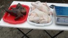 В Лопатине Россельхознадзор изъял из продажи курятину