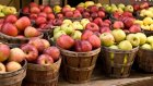 21 октября - День яблока