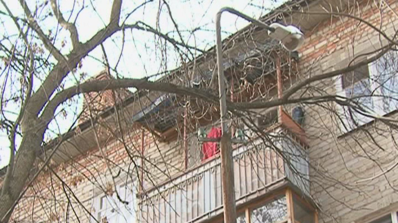 Повисшее дерево на улице Попова угрожает здоровью школьников