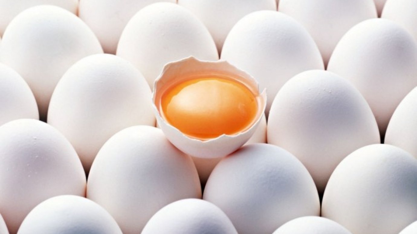 Пензенское УФАС проверит обоснованность повышения цен на яйца