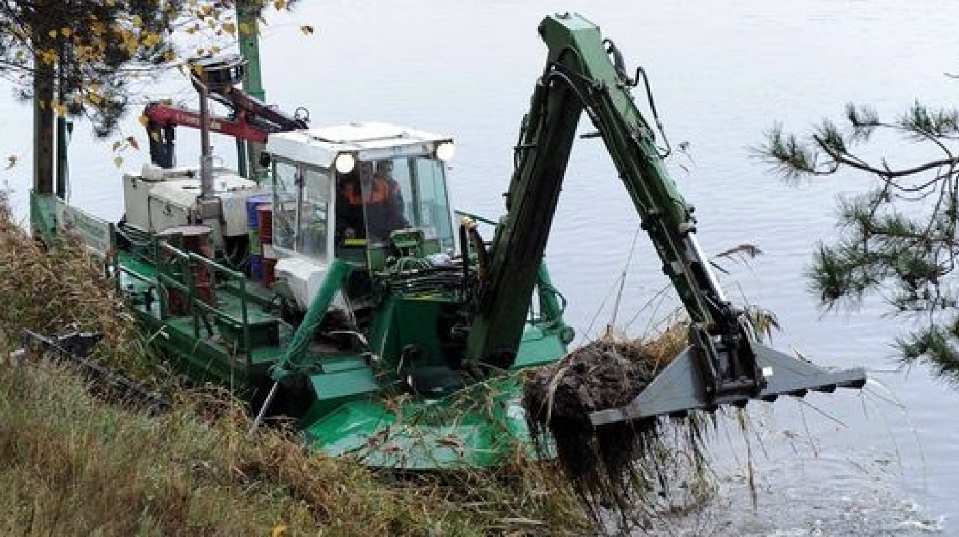 Расчистка водоемов в Пензенской области предотвратила ущерб на 200 млн