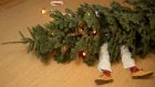 Американку арестовали за избиение мужа рождественской елкой