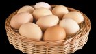 Выходные: время покупать яйца