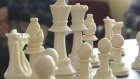 В Нижнеломовском техникуме прошел шахматный турнир