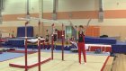 В «Буртасах» подвели итоги областных соревнований по спортивной гимнастике