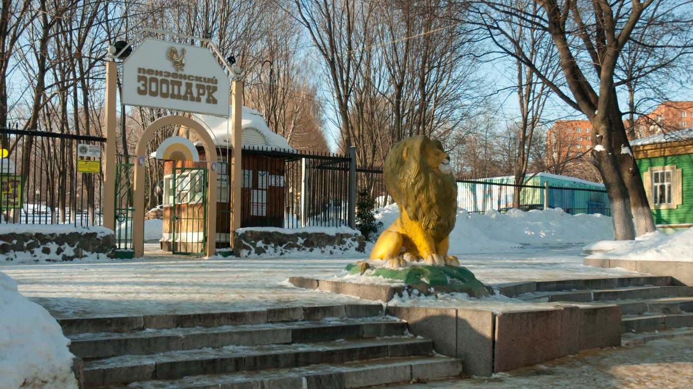 1 января зоопарк бесплатно посетили почти 3 000 пензяков