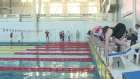 Во дворце спорта «Сура» стартовали областные соревнования по плаванию