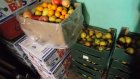 Жители Пензы дарят обитателям зоопарка овощи и фрукты