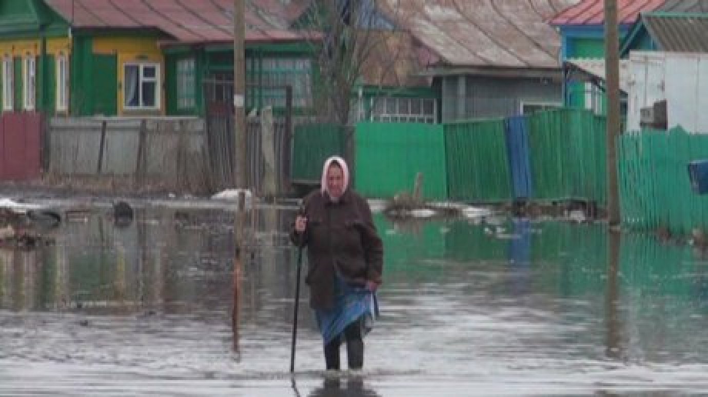 Весной 2014 года Пензенскую область может ждать сильный паводок