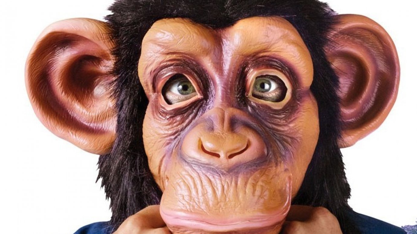 Грабителем в маске обезьяны оказался 20-летний житель Грабова