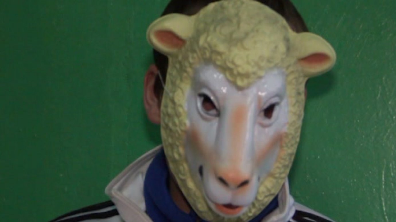 Молодой человек совершал грабежи под масками животных