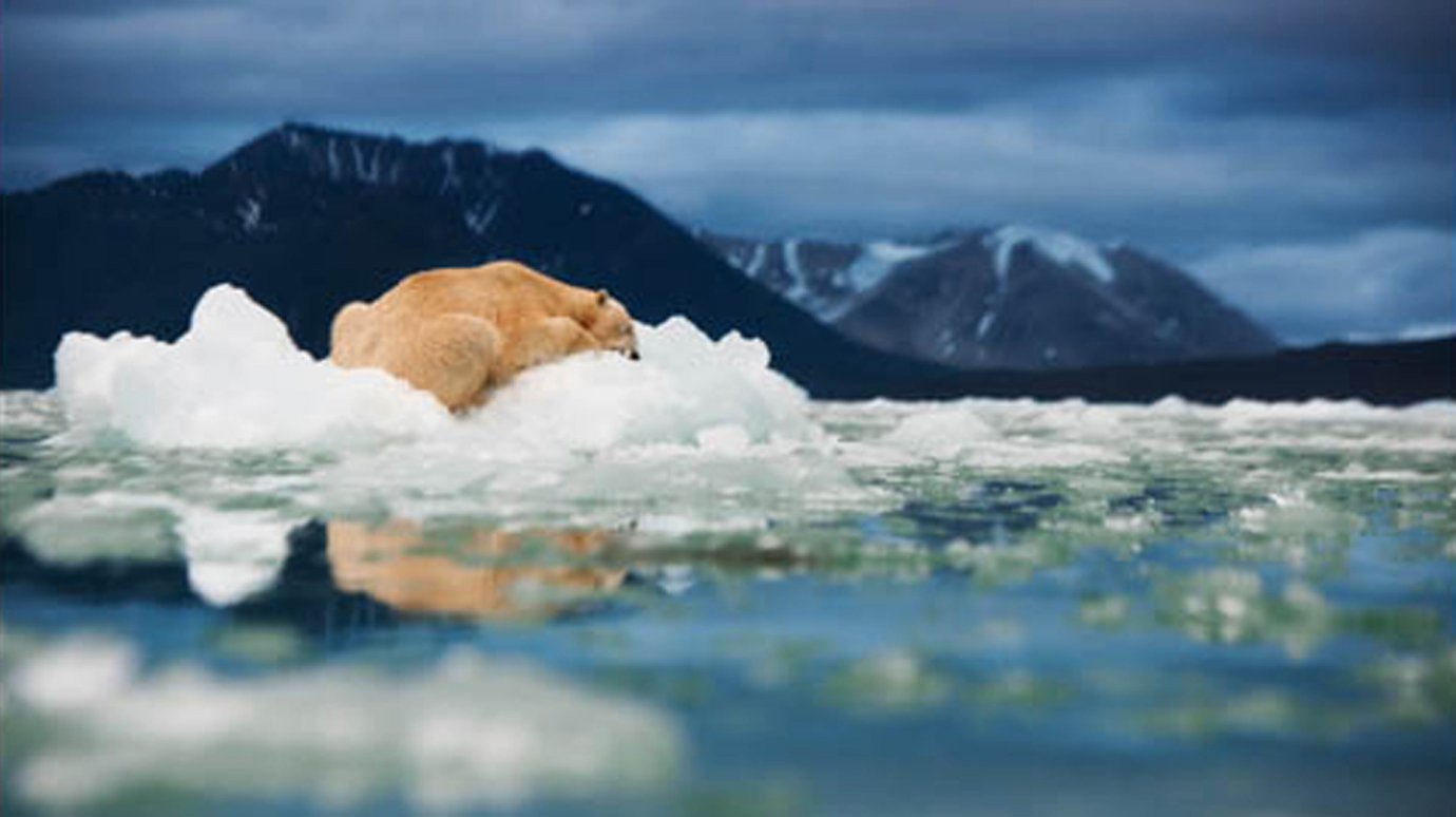 В Пензе пройдет выставка лучших фотографий Арктики