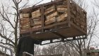 Представители ЛДПР обеспечили одинокую пенсионерку дровами