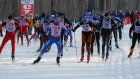 В области пройдет эстафета по лыжным гонкам на призы губернатора