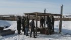 Нарушителям правил охоты на кабана грозит штраф до 4 тысяч рублей
