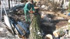 На ликвидацию сухих деревьев в Сердобске потратят почти полмиллиона