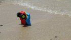 Депутаты гордумы проверят состояние пензенских пляжей