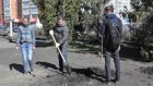 В Могилевском дворике в рамках субботника посадили 40 деревьев