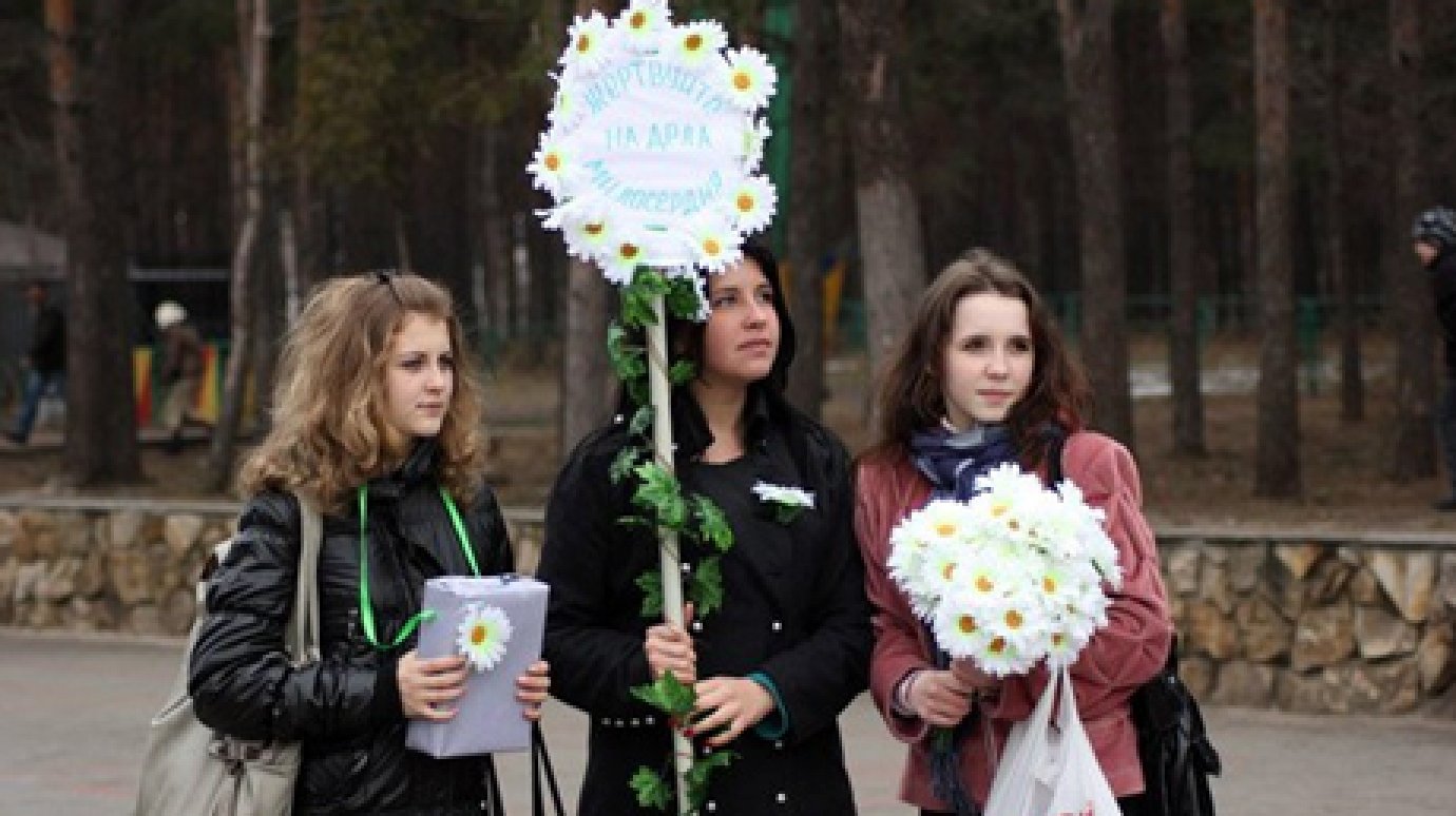 В области организуют благотворительную акцию «Белый цветок»