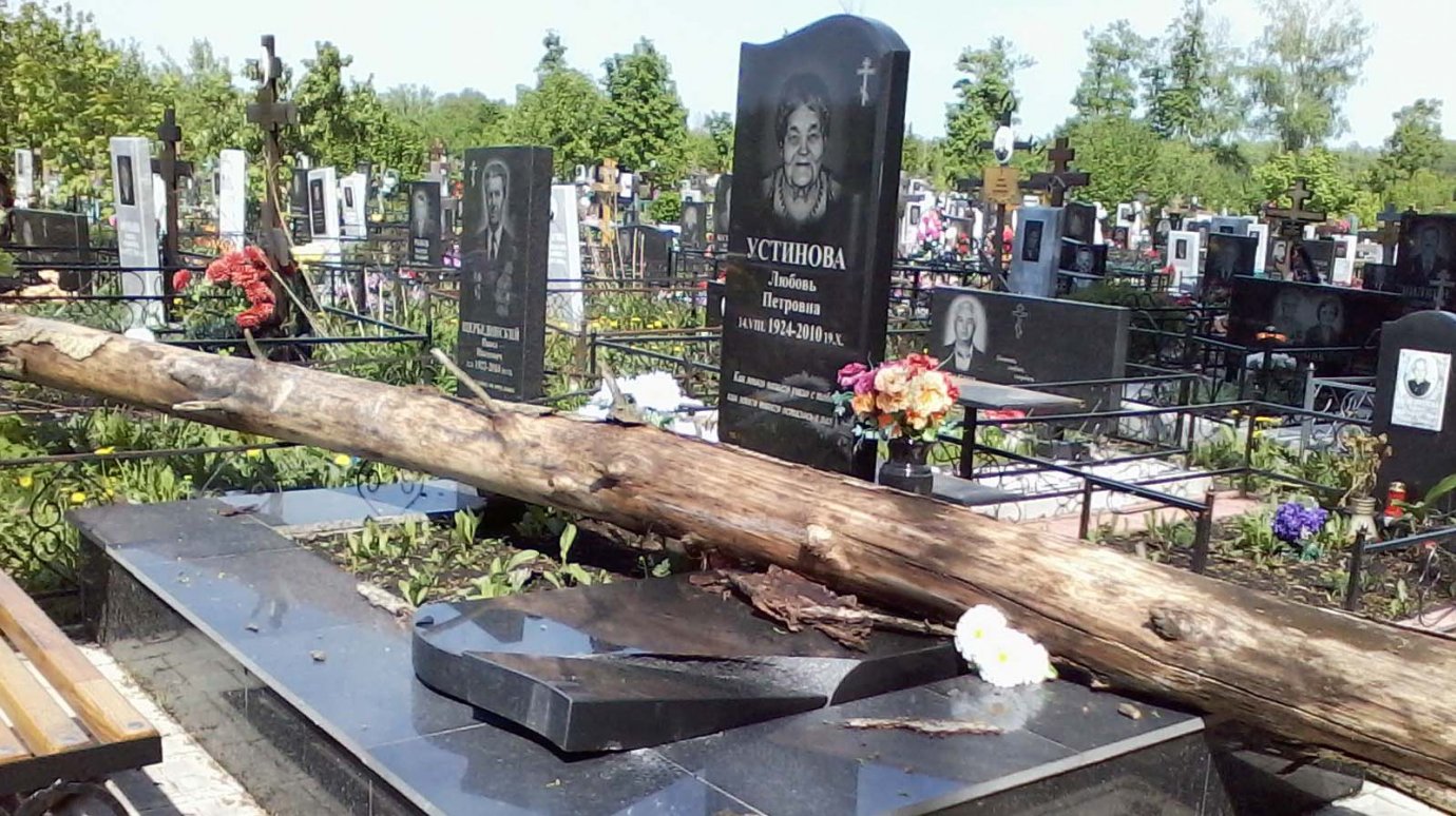На Ново-Западном кладбище рухнувшее дерево разбило памятник