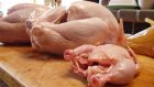 Пенза станет лидером по производству птичьего мяса