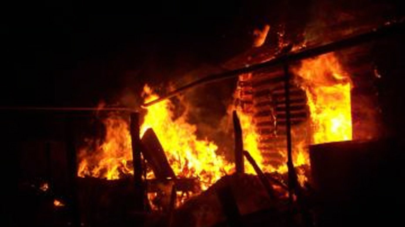 При пожаре в Никольске погибли два человека