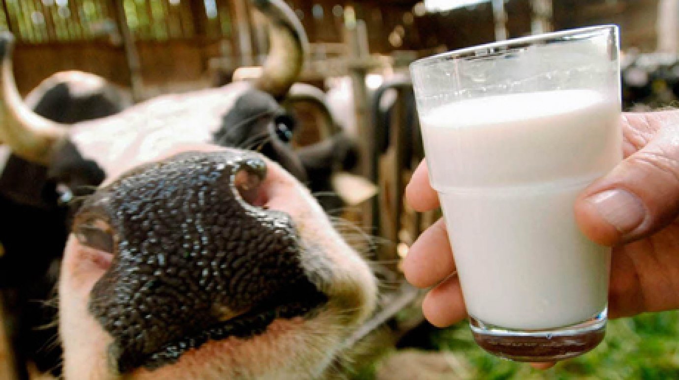 Объем производства молока в регионе снизился на 14%