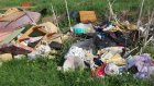 Село Дружаевка вошло в топ-10 «Парада мусорной красоты»