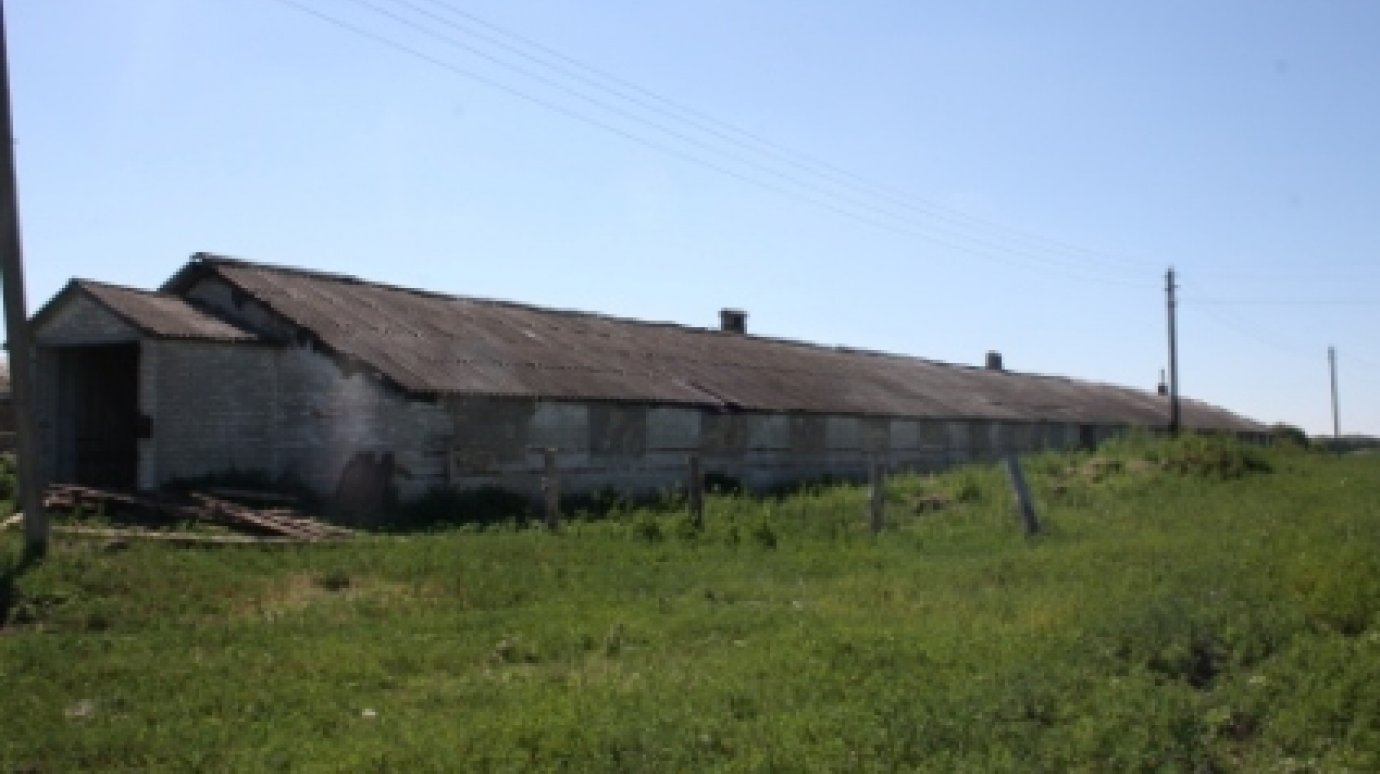 В Спасском районе восстанавливают заброшенные фермы