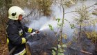 В Городищенском районе потушили лесной пожар