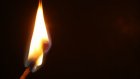 В Колышлейском районе обиженный недоплатой работник сжег две теплицы