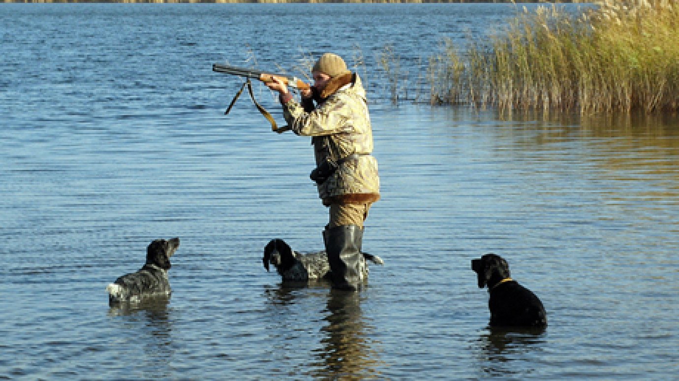 В Пензенской области отложат начало сезона охоты