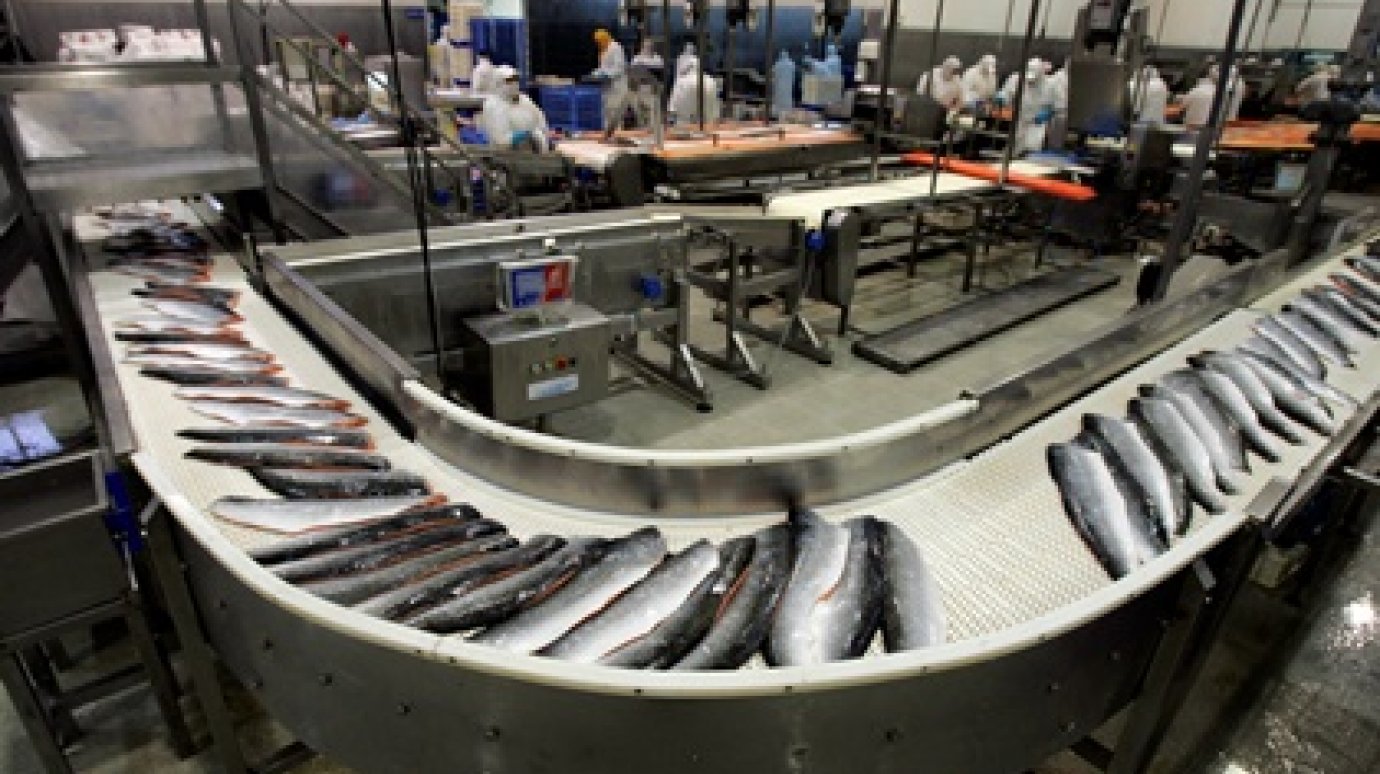 Россельхознадзор разрешил 12 чилийским предприятиям поставлять рыбу