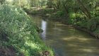В Белинском районе расчищено 3,2 км русла реки Кевды