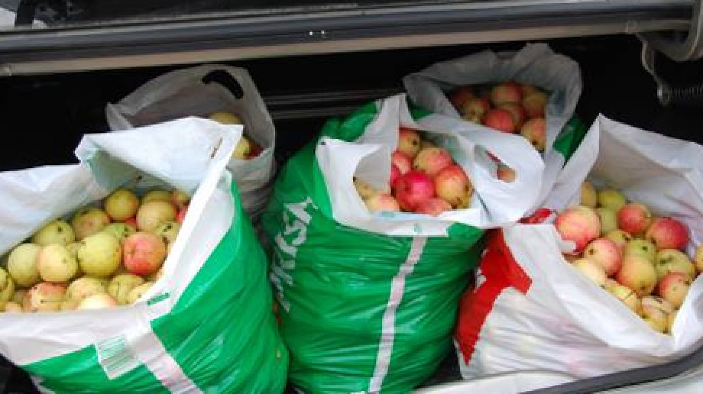 В Спасском районе задержан ВАЗ с центнером краденых яблок