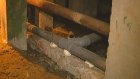 Жители дома № 10 на Плеханова задыхаются от запаха нечистот из подвала