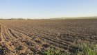 Пензенских аграриев стимулируют распахивать брошенные земли