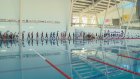 Первенство по плаванию собрало в Пензе более 600 спортсменов