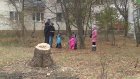 Жители Ворошилова хотят организовать сквер на месте сгнившего дерева
