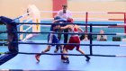 200 боксеров поборются за победу на открытом первенстве Пензы