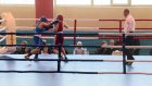 Более 200 юных боксеров участвовали в первенстве города