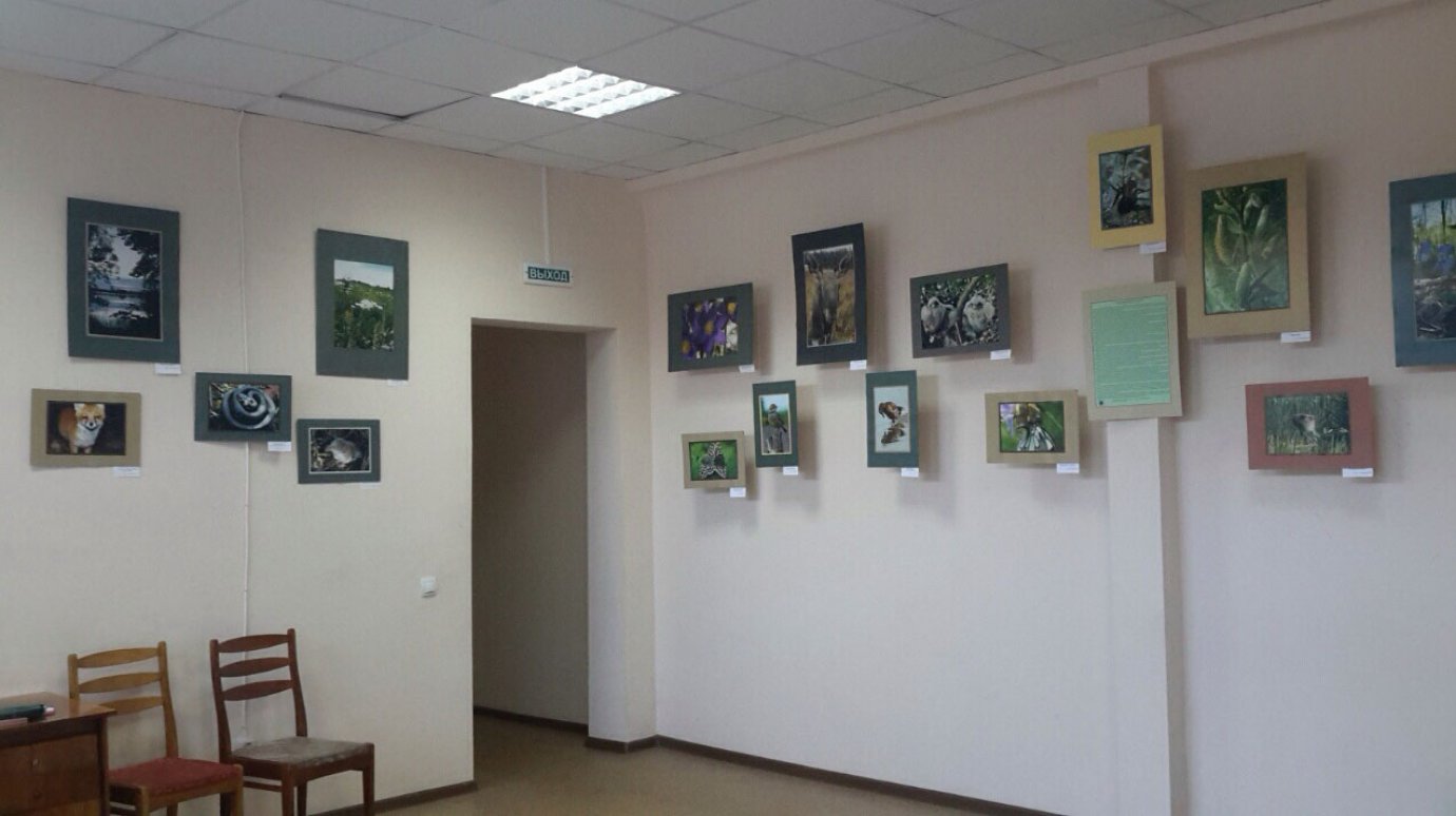 В минлесхозе открыта выставка в честь 25-летия «Приволжской лесостепи»