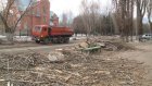 Жители улицы Одесской возмущены вырубкой тополей вдоль дороги