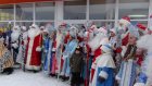 В Городище прошел парад Дедов Морозов и Снегурочек