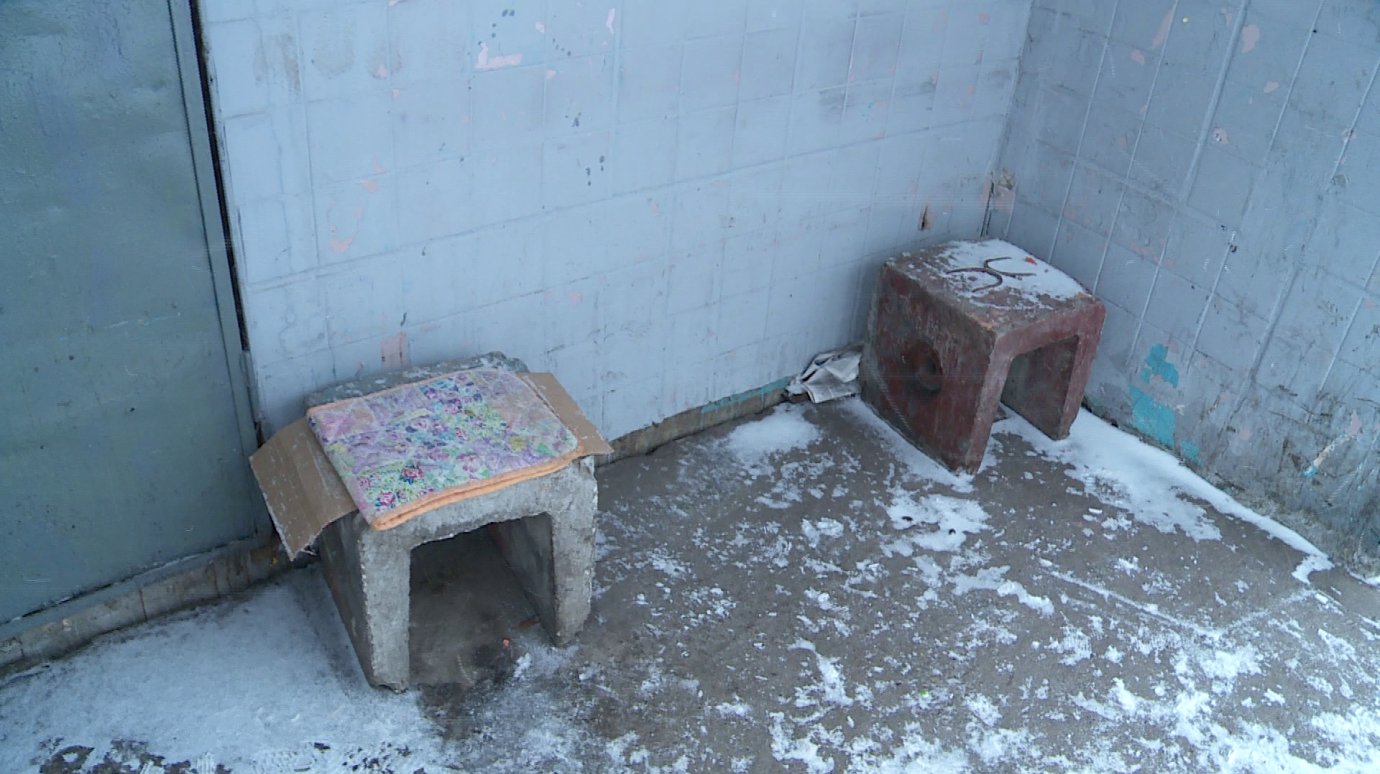 Пенсионеры из дома на Фурманова остались без лавочки у подъезда